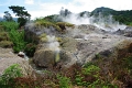 Dieng Plateau 'Kawah Sikidang' 21_10_2010 (28)